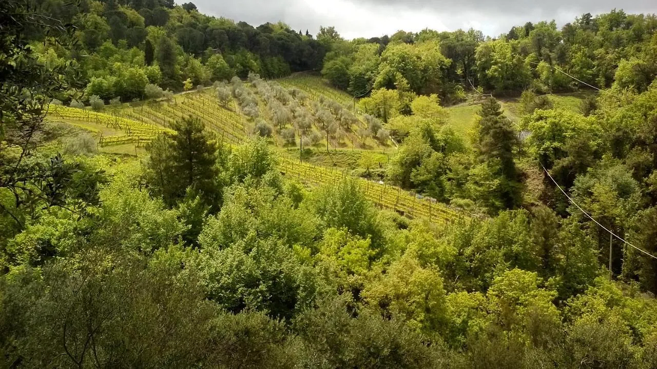 Little B&B Della Pieve Figline Valdarno Bed & Breakfast